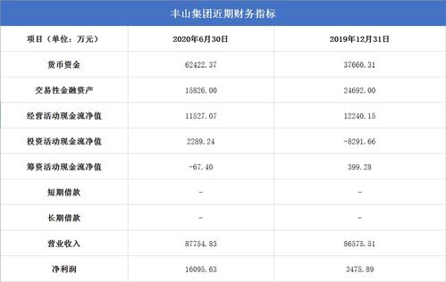 豐山集團投資回報高,熱衷高風險理財產(chǎn)品